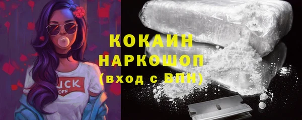 мяу мяу кристалл Корсаков