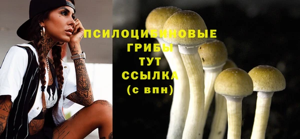 spice Костерёво
