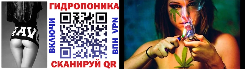 Бошки марихуана конопля  купить наркотики цена  Иноземцево 